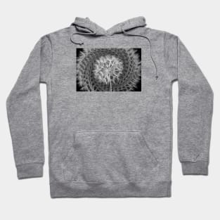 The Flower in White / Swiss Artwork Photography Hoodie
